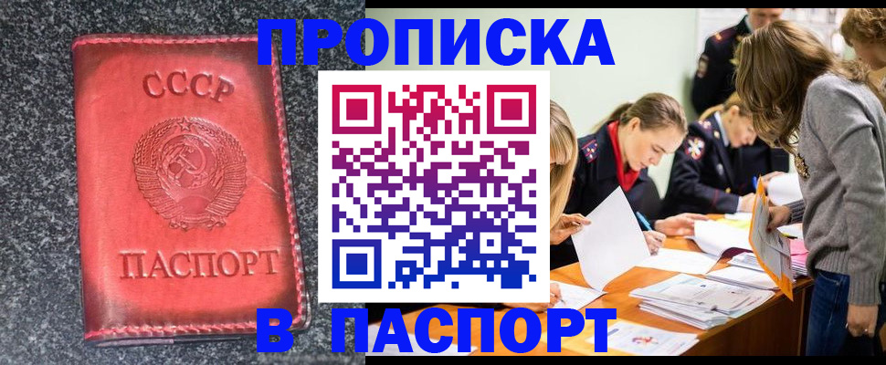 прописка для школы в Емве